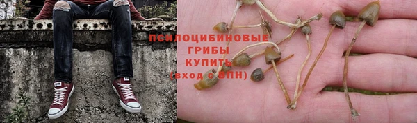 гидропоника Каменск-Шахтинский