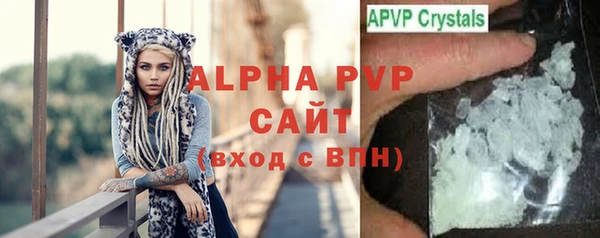 амф Каменногорск