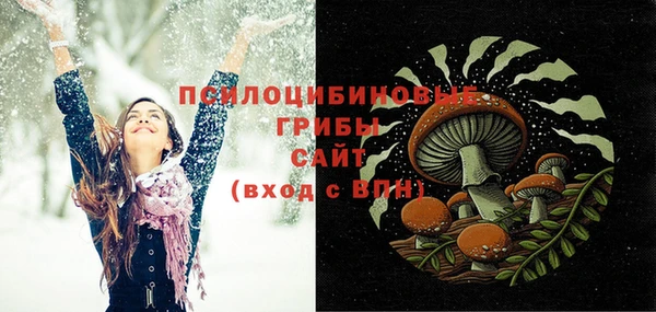 эйфоретик Карпинск