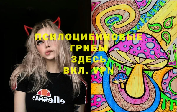 бутират Каменка